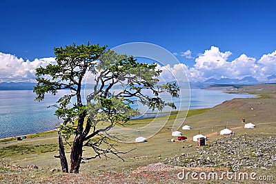 Mongolia, home of 6 Mongolian Yurt on the North shore of lake Hovsgol in the summer. Stock Photo