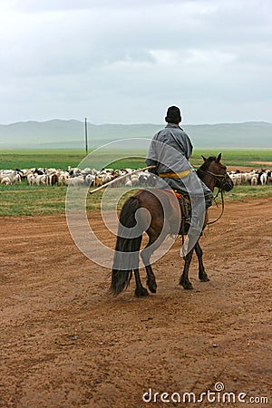 Mongolia - 10 July 2019: Mongolian horse rider in the desert on beautiful brown. Editorial Stock Photo