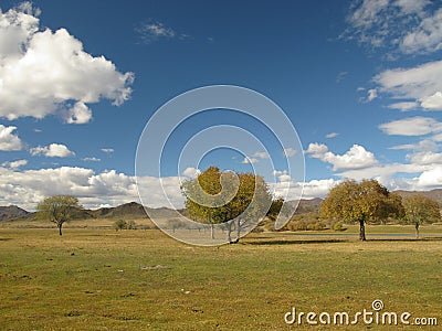 Mongolia - landscape near Selenge river Stock Photo