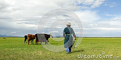 Mongolian farmer with cow in the grassland of Mongolia Editorial Stock Photo