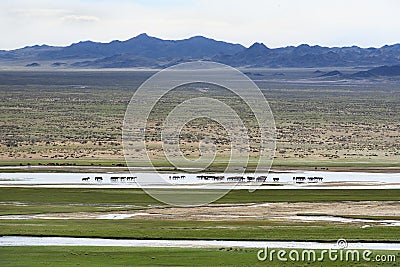 Mongolian landscape with herd of horses Stock Photo