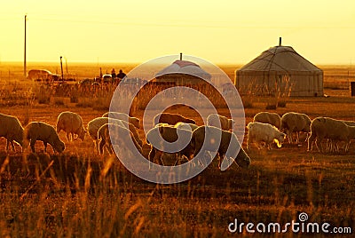 Mongolian Yurt Stock Photo