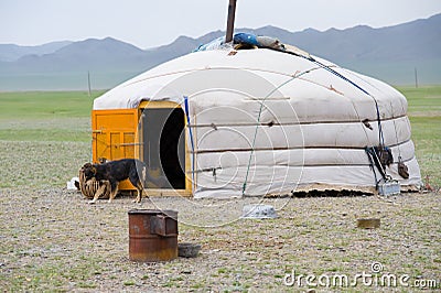 Mongolian yurta in steppe Stock Photo