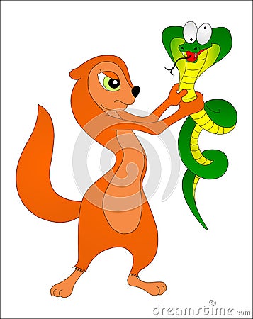 Mongoose with snake Vector Illustration