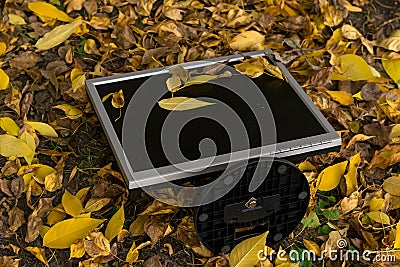 Monitor from the computer is lies on the autumn yellow foliage in the yard Stock Photo