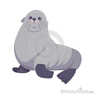 monk seal arctic animal Vector Illustration