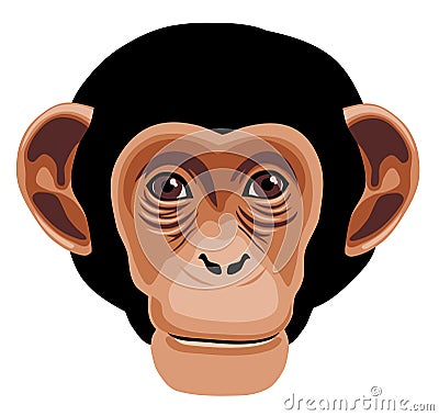 Monkey Vector Illustration