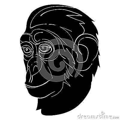 Monkey avatar Vector Illustration