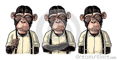 Monkey businessman in the shirt and suspender. Different poses. Engraving Vector Illustration