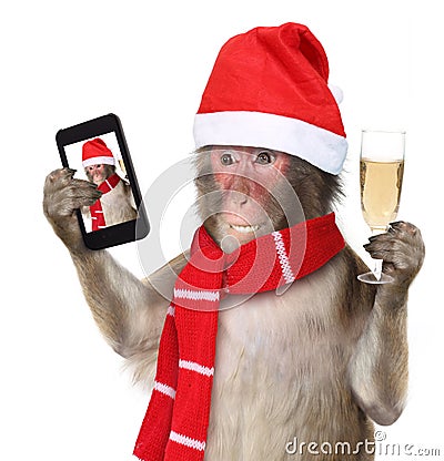 Monkey with christmas santa hat taking a selfie Stock Photo