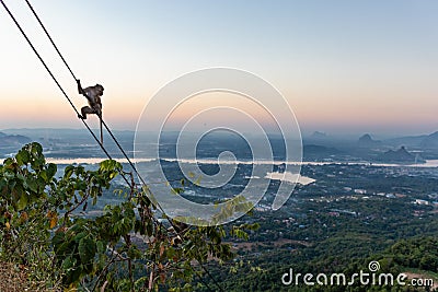 Monkey climbing on a rope at sunset time. Green jungle, fields and rivers. Karstic mountains and mist at the horizon. Kyar Inn Stock Photo