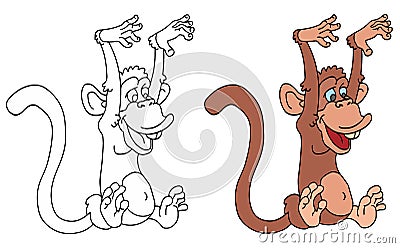 Monkey Stock Photo