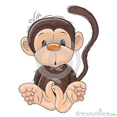 Monkey Vector Illustration