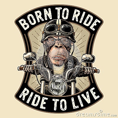 Monkey driving a motorcycle rides. Vector vintage engraving Vector Illustration