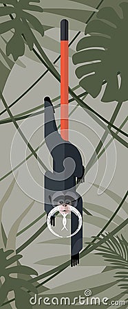 Monkey emperor tamarin Vector Illustration