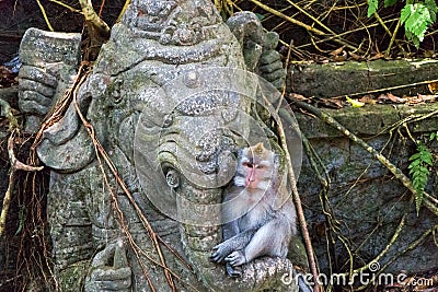 Monkey forest, Ubud, Bali, Indonesia Stock Photo