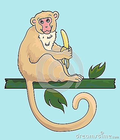 Monkey Vector Illustration