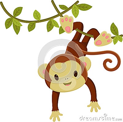 Monkey hanging on a liana Vector Illustration