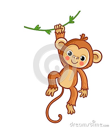 Monkey hanging on liana. Vector illustration. Cute animal Cartoon Illustration