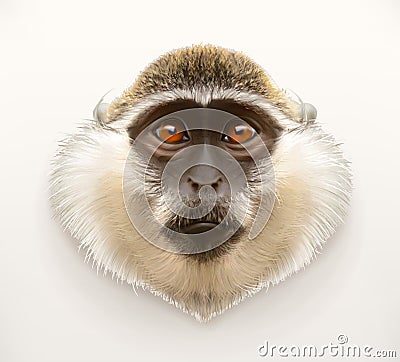 Monkey head illustration Vector Illustration