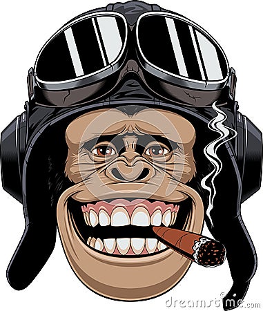 Monkey in helmet pilot Vector Illustration