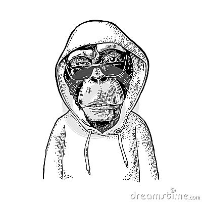 Monkey hipster with sunglasses dressed in the hoodie. Vintage engraving Vector Illustration