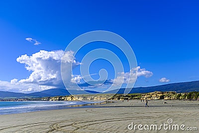 Monkey Island Beach in New Zealand Stock Photo