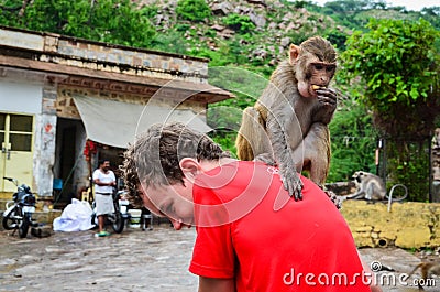 Monkey on my Back Editorial Stock Photo