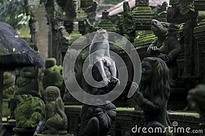 a monkey posing on a statue in monkey forest bali Stock Photo