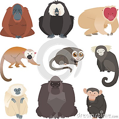 Monkey and primate collection Stock Photo