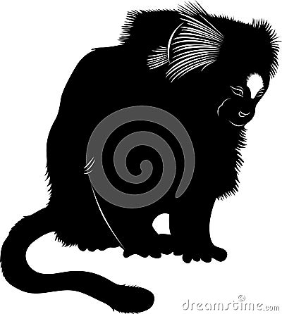 Monkey . primates. is the smallest monkey in the world Vector Illustration