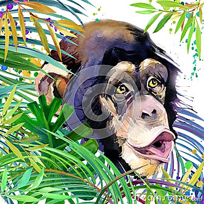 Monkey in the rainforest. watercolor tropical nature illustration. wildlife. Cartoon Illustration