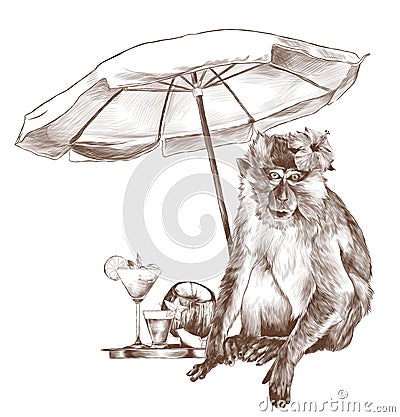 Monkey sitting on the beach under a beach umbrella with a tropical flower on his head Vector Illustration