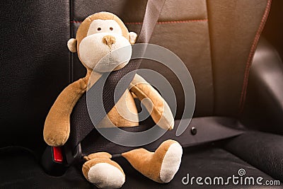 Monkey sitting belt in the car. Stock Photo