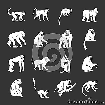 Monkey types icons set grey Stock Photo