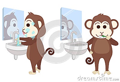 Monkey wash face and brush teeth at bathroom. Vector Illustration