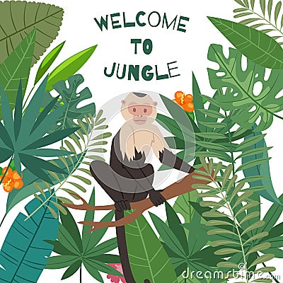 Monkey white headed capuchin in jungles leaves frame vector illustration. Welcome to jungle, palm leaves with exotic Vector Illustration