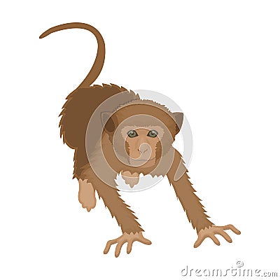 Monkey, wild animal of the jungle. Monkey, mammal primate single icon in cartoon style vector symbol stock illustration Vector Illustration