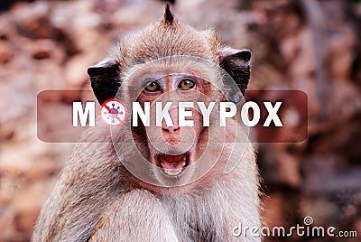 Monkeypox outbreak concept. Monkeypox is caused by monkeypox virus. Monkeypox is a viral zoonotic disease. Virus transmitted to Stock Photo