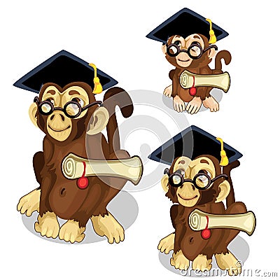 Monkeys in academic cap. Vector animal Vector Illustration