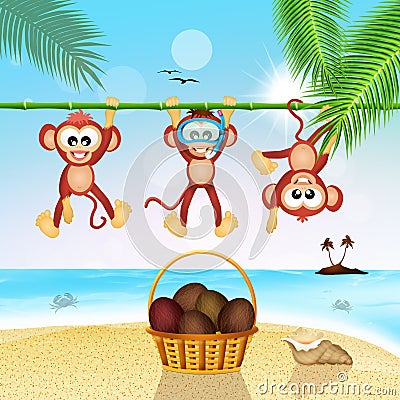 Monkeys and coconuts Stock Photo