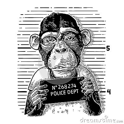 Monkeys in a T-shirt holding a police department banner Vector Illustration