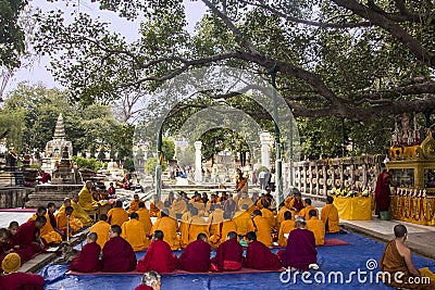 Monks under the bodhi tree Editorial Stock Photo