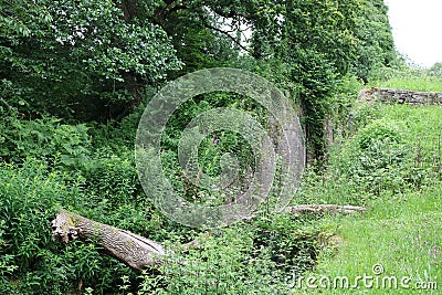 Monmouthshire to brecon canal 14 locks Stock Photo