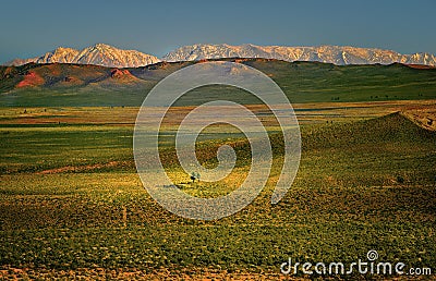 Mono Basin, Snow-Capped Mountains, California Stock Photo