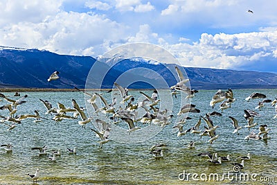Mono Lake California Stock Photo