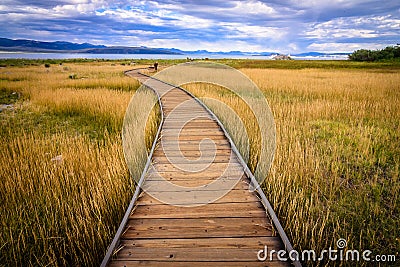 Mono Lake Catwalk Stock Photo