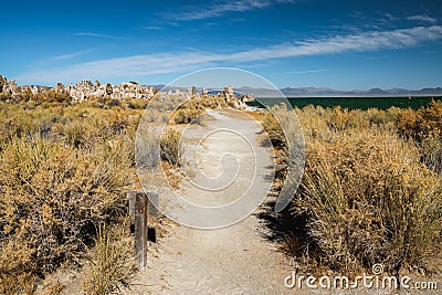 Mono Lake shore path, fall colors, California Stock Photo