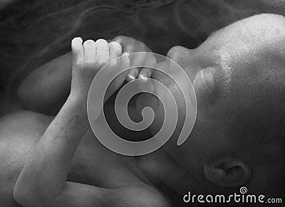 Monochome image of a Human Fetus Stock Photo