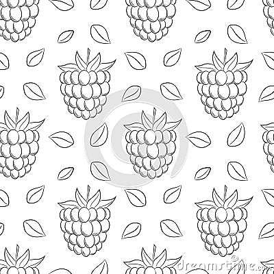 Monochrome black white fruit seamless pattern. Hand-drawn raspberries, blackberries. Simple outline background for web design, Vector Illustration